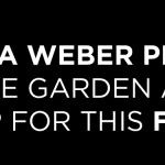 Weber web banner